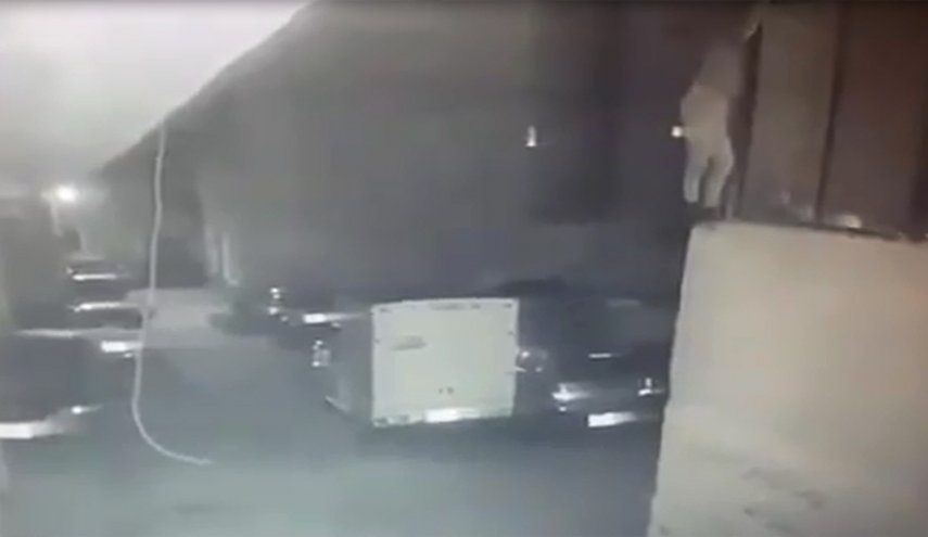 بالفيديو: تطورات جديدة بشأن هروب 3 متهمين مصريين محكوم عليهم بالإعدام بطريقة سينمائية