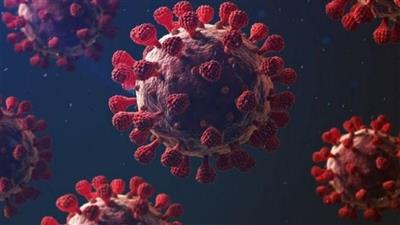 إصابات كورونا عالمياً تتجاوز 118,8 مليون.. والوفيات 2,76 مليون حالة