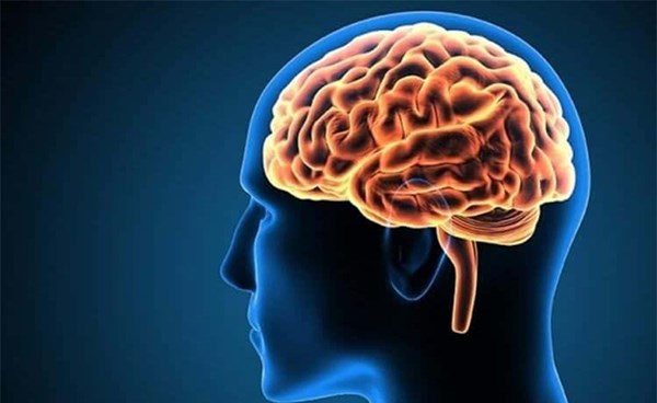 علماء يتمكنون من تحديد 3 أنواع فرعية من التصلب المتعدد من خلال فحوصات الدماغ
