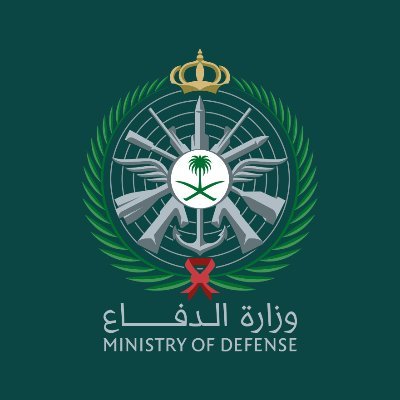 عاجل | السعودية: إعدام 3 من منسوبي وزارة الدفاع بصفتهم العسكرية بتهمة الخيانة العظمى