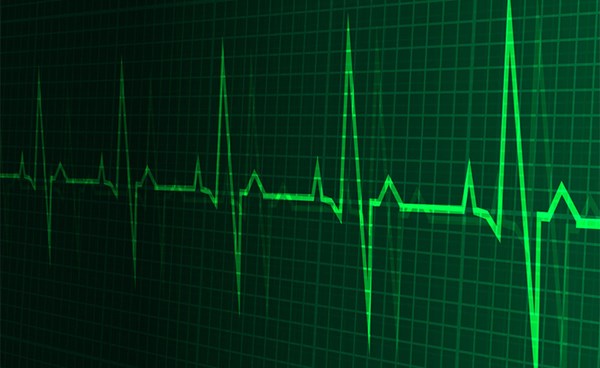 علماء يستخدمون الخيول والفئران لكشف السبب وراء إصابة بعض رياضيي النخبة بإحصار القلب