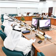 المالية البرلمانية: فريق عمل لمراجعة مواد مشروع قانون الصكوك الحكومية
