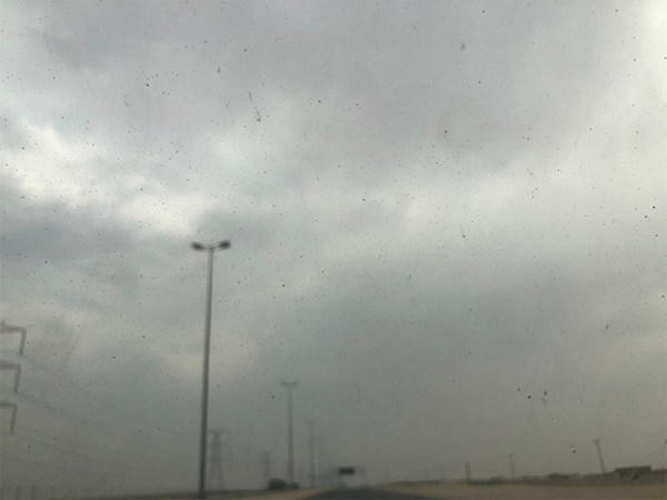 بالفيديو.. أمطار متفرقة بالجهراء والوفرة #يوم_الجمعه