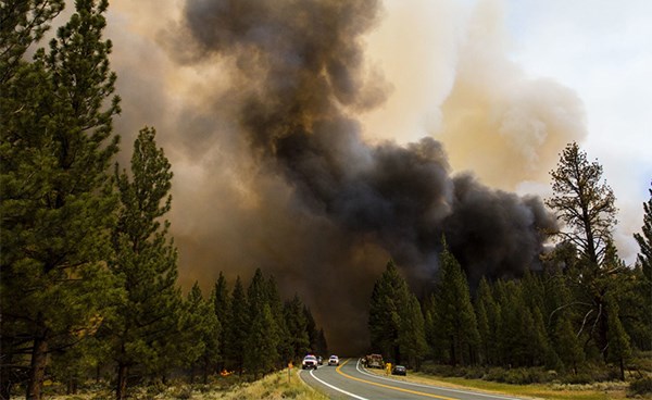 دراسة أمريكية: دخان حرائق الغابات له علاقة بارتفاع عدد حالات الإصابة بكوفيد-19