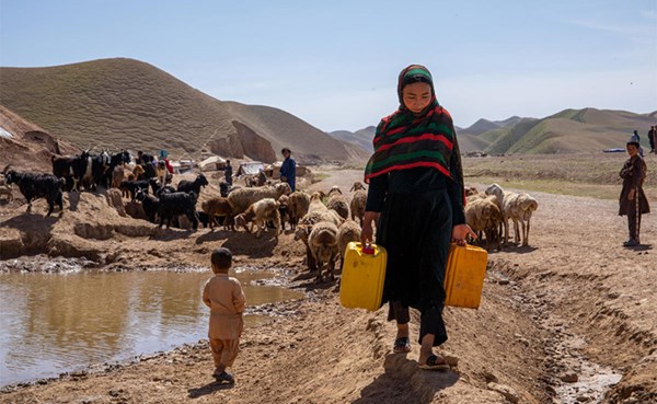 هيئة أممية: الجفاف الحاد يهدد حياة 7 ملايين مزارع في أفغانستان