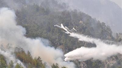 تركيا تعلن السيطرة على حرائق الغابات في البلاد باستثناء موقعين