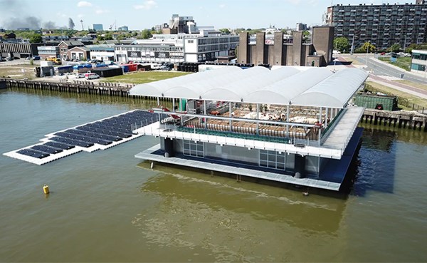 مزرعة أبقار عائمة فوق الماء في روتردام بغية حماية المناخ