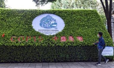 195 دولة تتبنى «إعلان كومينغ» لحماية التنوع البيولوجي