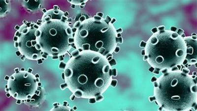 كورونا حول العالم.. أكثر من 4,96 مليون وفاة ونحو 245 مليون إصابة