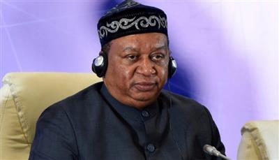 أمين عام «أوبك» يتوقع فائضا نفطيا العام المقبل