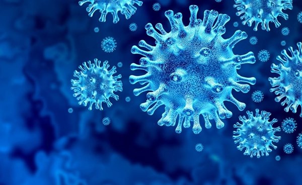 السماح لأطفال الدنمارك ببدء أجازة عيد الميلاد مبكرا بسبب الموجة الرابعة من كورونا