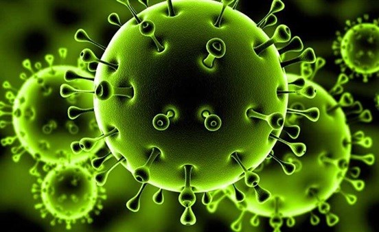 القبض على رجل في هولندا بعد أنباء عن عرضه بيع عينات من فيروس كورونا على الإنترنت