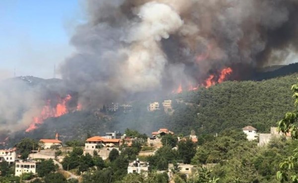 دراسة: دخان حرائق الغابات يتسبب في مشاكل عصبية مدى الحياة