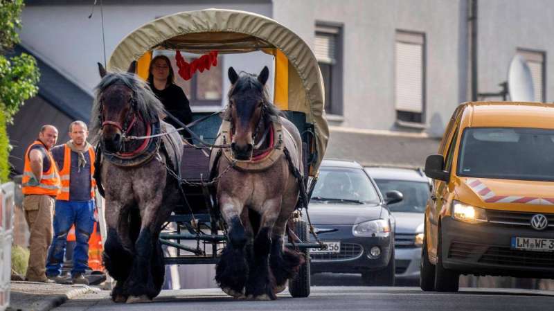 بسبب أزمة الطاقة.. سيدة ألمانية تستبدل سيارتها بعربة خيول