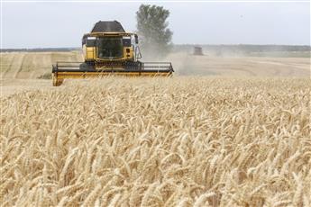 أوكرانيا: إنتاج محاصيل الربيع بلغ نصف إنتاج العام الماضي