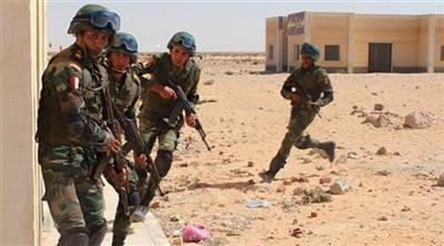 الجيش المصري: مقتل 4 إرهابيين في سيناء