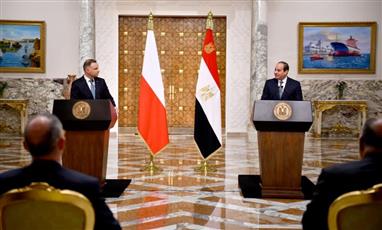 السيسي يؤكد أهمية التوصل إلى حل سلمي للأزمة الروسية الأوكرانية