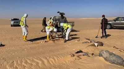 انتشال جثث 20 مهاجراً قضوا عطشاً في الصحراء الليبية