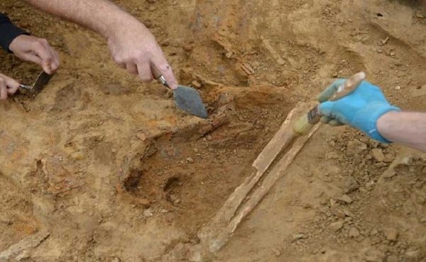 خبراء آثار في جورجيا يعثرون على سن بشرية عمرها 1.8 مليون عام