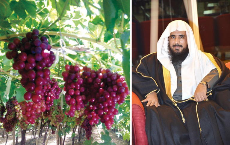 بالفيديو: لماذا تكرر ذكر النخيل والأعناب في القرآن؟.. الخثلان يفسر السبب