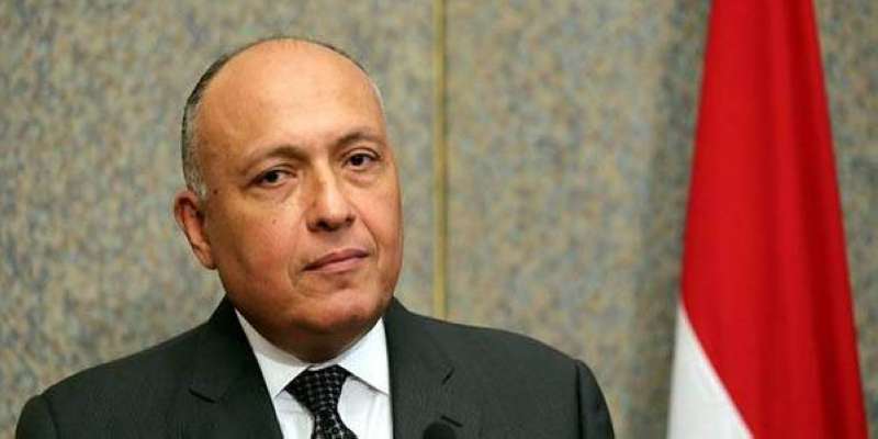 مصر تؤكد استعدادها لاستضافة مركز عالمي لتوريد وتخزين الحبوب لمواجهة أزمة الغذاء