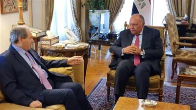 مصر: ندعم تسوية شاملة للأزمة السورية