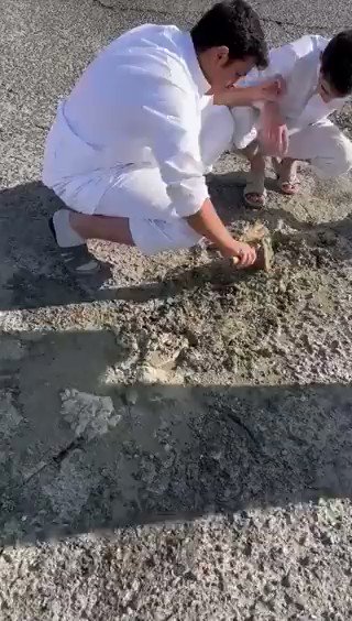 شباب كويتيون يتطوعون لردم الحفر في شوارع عبدالله المبارك