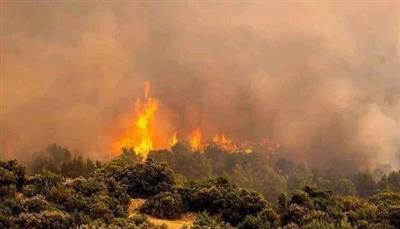 حريق يقضي على مساحات شاسعة من غابات إسبانيا.. والسكان يغادرون المنازل