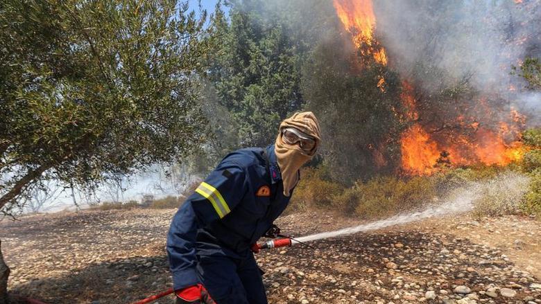 حرائق الغابات في دول البحر المتوسط تقتل أكثر من 40 شخصا
