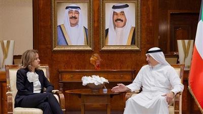وزير الخارجية يلتقي السفير الفرنسي والسفير الروسي