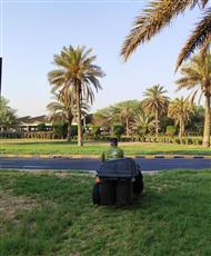 الزراعة: خطة طوارئ للزراعات التجميلية