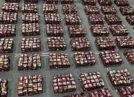 الجمارك: إحباط تهريب 324 ألف كيس تنباك قدمت إلى البلاد عبر ميناء الشويخ