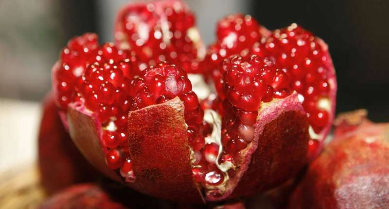 مادة في الرمان قد تساعد على إبطاء ألزهايمر