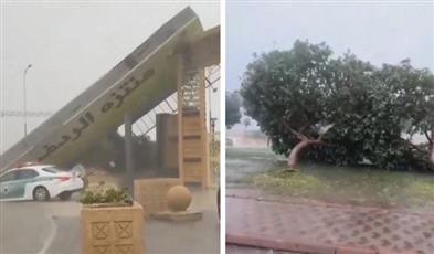 السعودية.. أمطار ورياح شديدة تُسقِط أشجارا بالطائف
