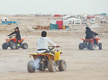 البلدية: منع البقيات خلال موسم التخييم ومحاسبة من يقوم بتأجيرها