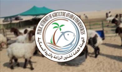 هيئة الزراعة: تعديل شروط وإجراءات منح التراخيص بالرعي