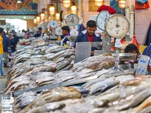 رئيس اتحاد الصيادين: جهود متواصلة لتنظيم الصيد وخفض أسعار الأسماك