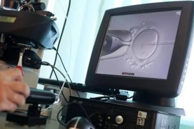 خبراء يحذرون من تداعيات تراجع خصوبة الرجال عالمياً