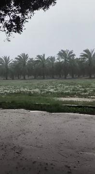 أمطار متفرقة مستمرة حتى فجر الجمعة رعدية وغزيرة أحياناً