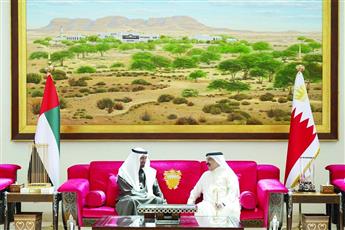 رئيس الإمارات وملك البحرين يبحثان العلاقات الثنائية وتطورات الأوضاع الإقليمية