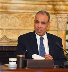 وزير الخارجية المصري يبحث هاتفيا مع نظيره السعودي العلاقات الثنائية والتطورات الإقليمية