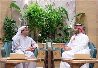 ولي العهد السعودي يبحث مع نائب الرئيس الإماراتي العلاقات الأخوية وتطورات الأوضاع بالمنطقة